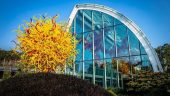Chihuly is Amazing