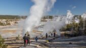 Great day in Yellowstone