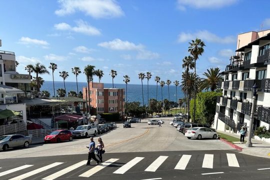 MLK Day in La Jolla