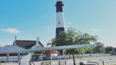 Take this tour and then go to the beach!