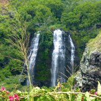 Shore Excursions