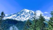 Fantastic Day Mt Rainier 
