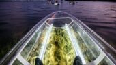 Great kayak tour