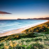 Shore Excursions