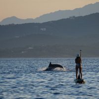 Stand Up Paddleboarding