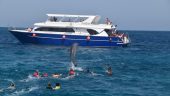 Dolphin house boat trip with lunch Hurgada