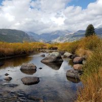 Eco Tours