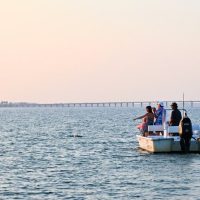 Private & Custom Tours