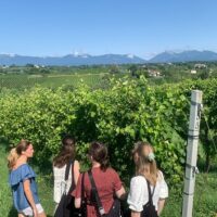 Food, Wine & Nightlife