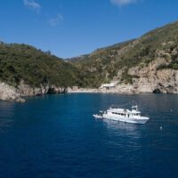 Brunch Cruises