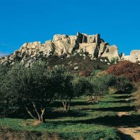 Tours & Sightseeing