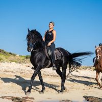 Horseback Riding