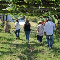 Wine Tasting & Winery Tours