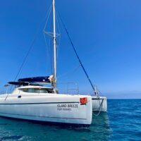 Catamaran Cruises