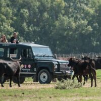 Private & Custom Tours