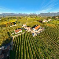 Wine Tasting & Winery Tours