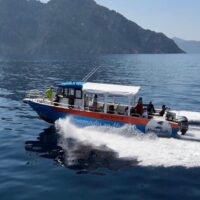 Day Trips & Excursions