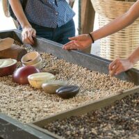 Sustainable Tours