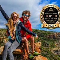 Tours & Sightseeing