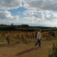 Wine Tasting & Winery Tours