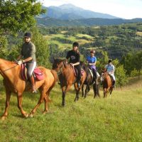 Horseback Riding