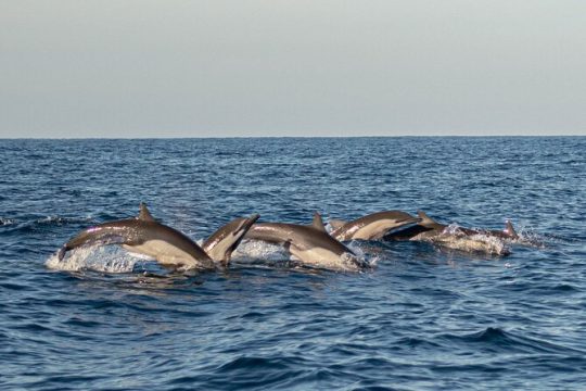 Valentine's Day in Puerto Escondido