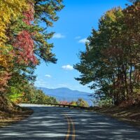 Day Trips & Excursions