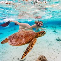 Snorkeling