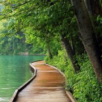 Cultural & Theme Tours