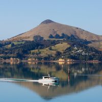 Cruises, Sailing & Water Tours