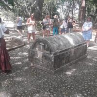 Plantation Tours