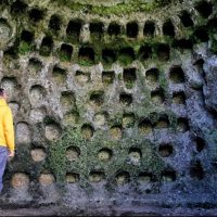 Archaeology Tours