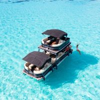 Day Cruises