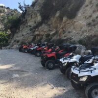 Safaris