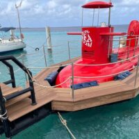Day Cruises