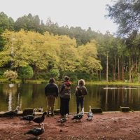 Full-day Tours