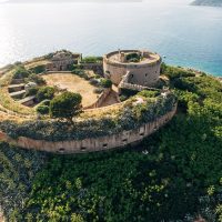 Half-day Tours