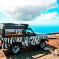 Ports of Call Tours