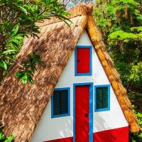 Shore Excursions