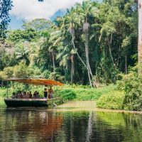 Bus & Minivan Tours