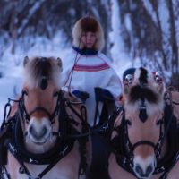 Horseback Riding