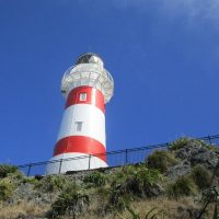 Cultural & Theme Tours