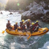 Boat Tours
