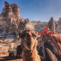 Private & Custom Tours