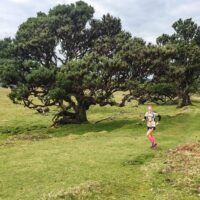 Running Tours