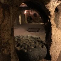 Half-day Tours