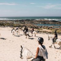 Horseback Riding