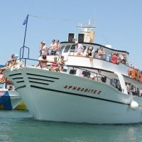 Half-day Tours