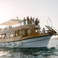 Dolphin & Whale Watching