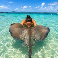 Tours & Sightseeing